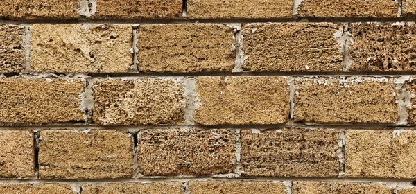 Tijolo Conchas Textura Fundo Parede Feita Conchas Tijolo — Fotografia de Stock