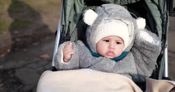 Baby jongen rijdt in een kinderwagen in de winter bij zonnig weer. kleine jongen in koets — Stockvideo