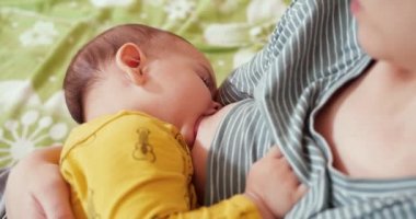 Anne yeni doğmuş bebeğini koltukta emziriyor. Anne sütü bebek için doğal bir ilaçtır. aile, yemek, çocuk, yeme ve ebeveynlik kavramı