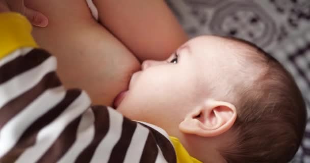 Мать кормит грудью своего новорожденного ребенка на диване. Молоко от материнской груди является естественным лекарством для ребенка. Семья, еда, ребенок, еда и паранормальное питание — стоковое видео