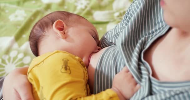 Η μητέρα θηλάζει το νεογέννητο μωρό της στον καναπέ. Γάλα από μητέρες του μαστού είναι ένα φυσικό φάρμακο για το μωρό. έννοια οικογένεια, τροφή, παιδί, διατροφή και μητρότητα — Αρχείο Βίντεο