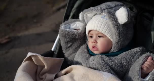 Bebé niño cabalga en un cochecito en invierno en tiempo soleado. niño en carruaje — Vídeos de Stock