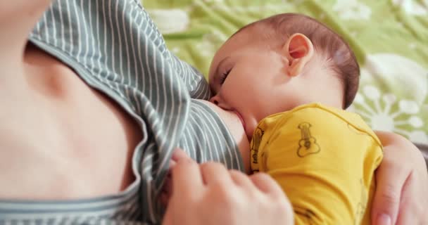 Mãe amamentando seu bebê recém-nascido no sofá. O leite das mães peito é um remédio natural para o bebê. conceito de família, alimentação, criança, alimentação e paternidade — Vídeo de Stock
