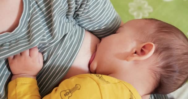 Mother breastfeeding her newborn baby on sofa. Milk from mothers breast is a natural medicine to baby. family, food, child, eating and parenthood concept — Stock Video