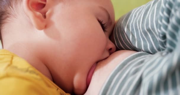 Moeder die haar pasgeboren baby borstvoeding geeft op de bank. Melk van moeders borst is een natuurlijk medicijn voor de baby. familie, voedsel, kind, eten en ouderschap concept — Stockvideo