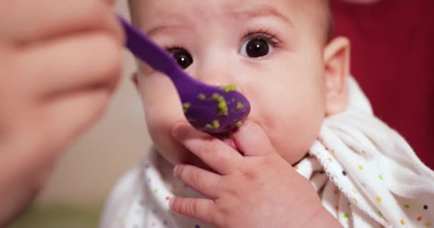 母親は赤ん坊を抱きかかえてスプーンで子供に食べさせる。家族、食べ物、子供、食事、親の概念 — ストック動画