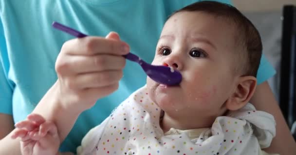 Anne bebeği kollarında tutuyor ve oğlunu kaşıkla besliyor. aile, yemek, çocuk, yeme ve ebeveynlik kavramı — Stok video