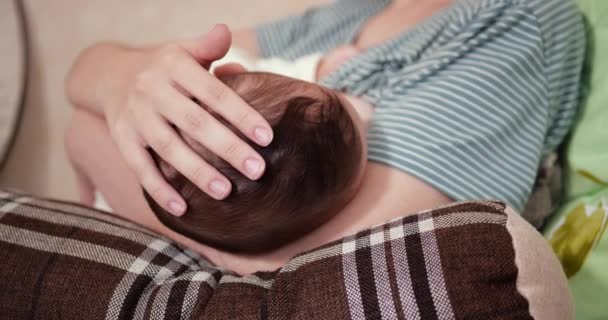Мать кормит грудью своего новорожденного ребенка на диване. Молоко от материнской груди является естественным лекарством для ребенка. Семья, еда, ребенок, еда и паранормальное питание. замедленное движение — стоковое видео