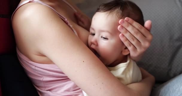 Madre amamantando a su bebé recién nacido en el sofá. La leche materna es una medicina natural para el bebé. familia, comida, niño, alimentación y concepto de paternidad. cámara lenta — Vídeo de stock