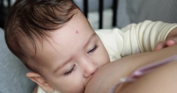 Madre amamantando a su bebé recién nacido en el sofá. La leche materna es una medicina natural para el bebé. familia, comida, niño, alimentación y concepto de paternidad. cámara lenta — Vídeos de Stock