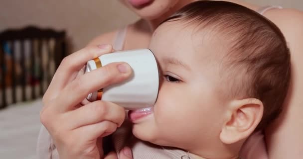 Retrato de um rapazinho que se senta nos braços das mães. A criança feliz bebe o leite ou o produto de leite de um copo. Nutrição adequada e natural para crianças — Vídeo de Stock