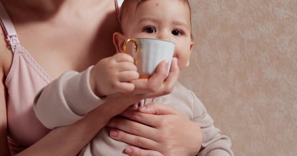 Portrait d'un petit garçon assis dans les bras de sa mère. Un enfant heureux boit du lait ou des produits laitiers dans une tasse. Une nutrition adéquate et naturelle pour les enfants — Video