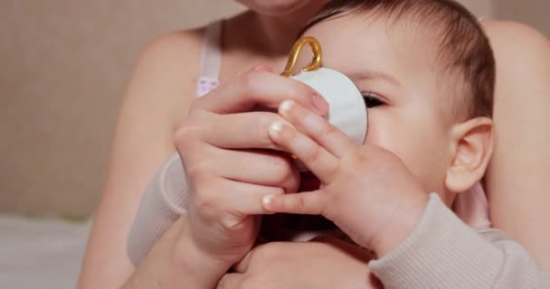 Retrato de um rapazinho que se senta nos braços das mães. A criança feliz bebe o leite ou o produto de leite de um copo. Nutrição adequada e natural para crianças — Vídeo de Stock