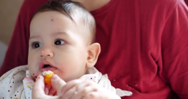 Mamma håller barnet i sina armar och matar sin pojke med en sked. familj, mat, barn, mat och föräldraskap — Stockvideo