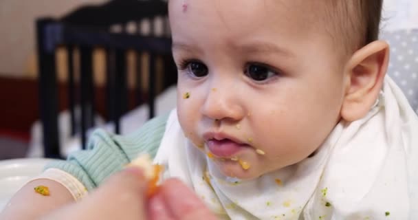 Mamá alimenta al niño con una cuchara y una mano, comida familiar y concepto de paternidad. primeros alimentos complementarios y autoalimentación — Vídeo de stock