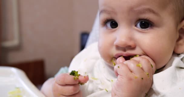 엄마는 아이를 숟가락 과 손, 가족 음식 과 부모라는 개념으로 먹여 살린다. 첫 번째 상보적 인 음식 과 자급자족 — 비디오