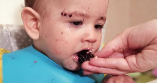 Maman nourrit le garçon avec une cuillère et une main, la nourriture familiale et le concept de parentalité. premiers aliments complémentaires et auto-nourrissants — Video