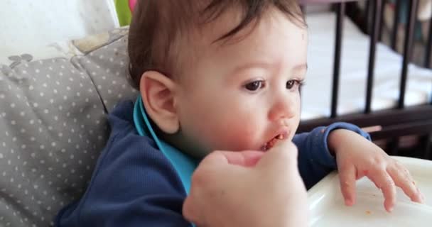 Maman nourrit le garçon avec une cuillère et une main, la nourriture familiale et le concept de parentalité. premiers aliments complémentaires et auto-nourrissants — Video