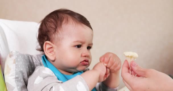 Η μαμά ταΐζει το αγόρι με ένα κουτάλι και ένα χέρι, οικογενειακό φαγητό και την έννοια της πατρότητας. πρώτα συμπληρωματικά τρόφιμα και αυτοσίτιση — Αρχείο Βίντεο