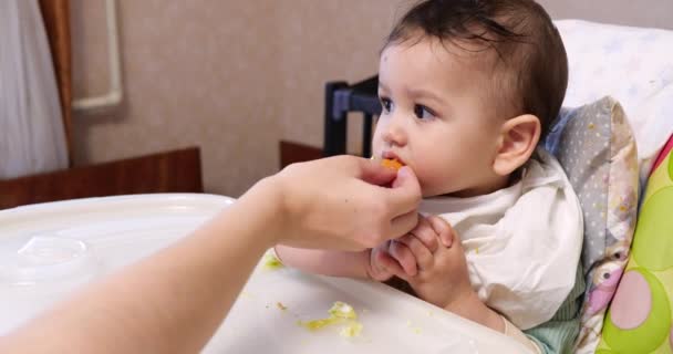 Mamá alimenta al niño con una cuchara y una mano, comida familiar y concepto de paternidad. primeros alimentos complementarios y autoalimentación — Vídeos de Stock