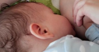 Anne yeni doğmuş bebeğini koltukta emziriyor. Anne sütü bebek için doğal bir ilaçtır. aile, yemek, çocuk, yeme ve ebeveynlik kavramı