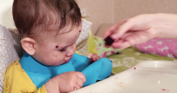 Maman nourrit le garçon avec une cuillère et une main, la nourriture familiale et le concept de parentalité. premiers aliments complémentaires et auto-nourrissants — Video