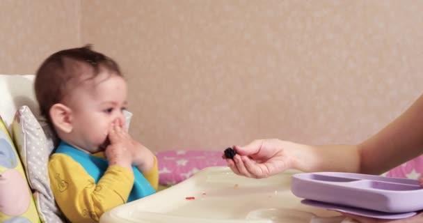 Η μαμά ταΐζει το αγόρι με ένα κουτάλι και ένα χέρι, οικογενειακό φαγητό και την έννοια της πατρότητας. πρώτα συμπληρωματικά τρόφιμα και αυτοσίτιση — Αρχείο Βίντεο