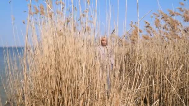 Žena kráčející po poli úrody. žena zamyšleně kráčí po rákosovém poli u řeky, jasný den, modré nebe — Stock video