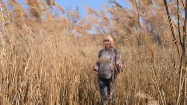 Donna che cammina in un campo di raccolti. una donna cammina pensierosa lungo il campo di canne lungo il fiume, giorno limpido, cielo blu — Video Stock