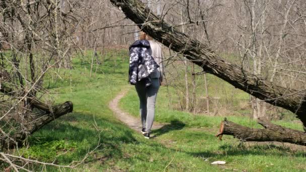 Een paar backpackers wandelen over het bos, genieten van openluchtvakantie, activiteit en gezonde recreatie. Statisch schot — Stockvideo