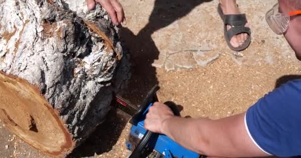 Primer plano del poderoso tronco de sierra manual en casa. Vídeo. Troncos de aserrado para leña con sierra manual — Vídeos de Stock