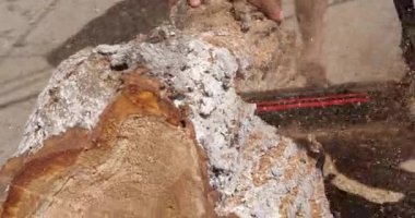 Güçlü el testeresinin yakın plan çekimi. Video kaydı. Yakacak odun kesmek için testere ile odun kesmek.