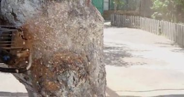 Tahta kesmek için elektrikli testere kullanılıyor. İşçi ağaç gövdesini testereyle kesiyor. Hareketli bir testerenin yakın çekimi, yana doğru uçan talaş tozu. Ahşap işçiliği, tahta kesme aletleri, ahşap