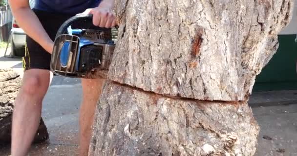 Motosserra em ação para cortar madeira. o funcionário corta um tronco de árvore em logs com uma serra. Close-up de uma serra em movimento, serragem voando para os lados. Carpintaria, ferramentas de corte de madeira, madeira — Vídeo de Stock