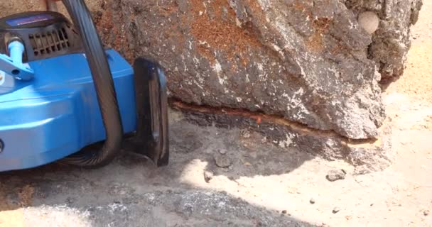 Motosserra em ação para cortar madeira. o funcionário corta um tronco de árvore em logs com uma serra. Close-up de uma serra em movimento, serragem voando para os lados. Carpintaria, ferramentas de corte de madeira, madeira — Vídeo de Stock