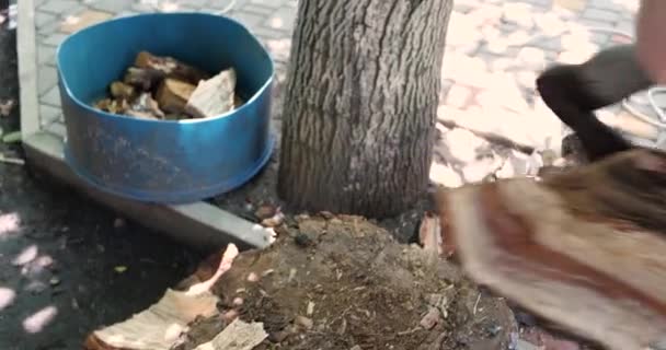 Taglio legna con una grande ascia affilata, Man Chops legna da ardere, Taglio di legna su un tronco di legno in estate a casa — Video Stock