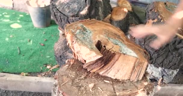 Резка дерева с большим острым топором, человек рубит дрова, рубка дерева на деревянном бревне летом в доме — стоковое видео