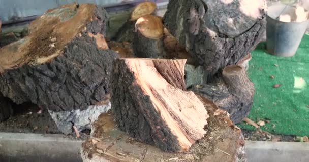 Hout hakken met een grote scherpe bijl, Man Hakt brandhout, Houthakken op een houten stam in de zomer thuis — Stockvideo