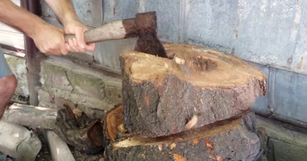 Holz schneiden mit einer großen scharfen Axt, Man hackt Brennholz, Holzhacken auf einem Holzstamm im Sommer zu Hause — Stockvideo