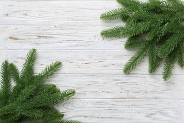 Reklam metinleri için fotokopi alanı olan bir Noel tatili. Renkli arka planda Firavun dalları. Düz yatış, üst görünüm.