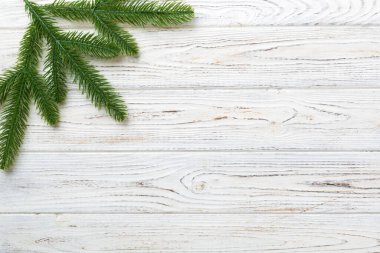 Reklam metinleri için fotokopi alanı olan bir Noel tatili. Renkli arka planda Firavun dalları. Düz yatış, üst görünüm.