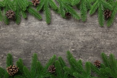 Reklam metinleri için fotokopi alanı olan bir Noel tatili. Firavun dalları ve arka planda çam kozalakları. Düz yatış, üst görünüm.