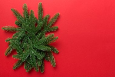 Reklam metinleri için fotokopi alanı olan bir Noel tatili. Renkli arka planda Firavun dalları. Düz yatış, üst görünüm.