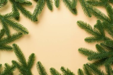 Reklam metinleri için fotokopi alanı olan bir Noel tatili. Renkli arka planda Firavun dalları. Düz yatış, üst görünüm.