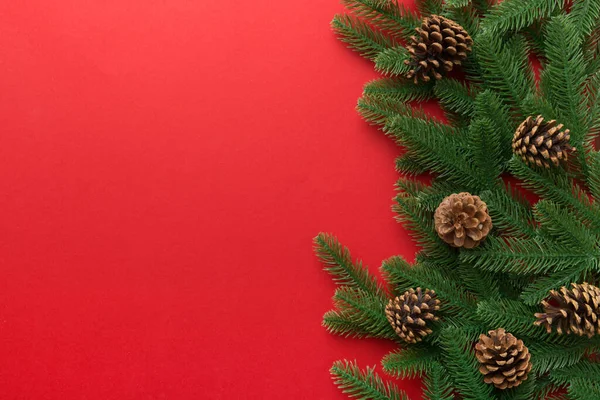 Reklam metinleri için fotokopi alanı olan bir Noel tatili. Firavun dalları ve arka planda çam kozalakları. Düz yatış, üst görünüm.