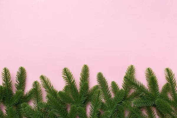 Weihnachtsurlaub Hintergrund Mit Kopierfläche Für Werbetext Tannenzweige Auf Farbigem Hintergrund — Stockfoto