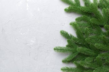 Reklam metinleri için fotokopi alanı olan bir Noel tatili. Renkli arka planda Firavun dalları. Düz yatış, üst görünüm.