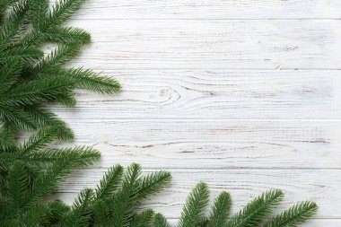 Reklam metinleri için fotokopi alanı olan bir Noel tatili. Renkli arka planda Firavun dalları. Düz yatış, üst görünüm.