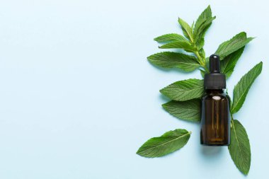 Cam Şişedeki Doğal Nane Özeli Yağı. Renkli arka planda nane özlü bitkisel kozmetik ürünleri.