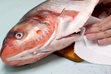 Gümüş sazan pişiriyorum. Kaburgaları temizler ve iç organlarını bir peçeteyle temizler..